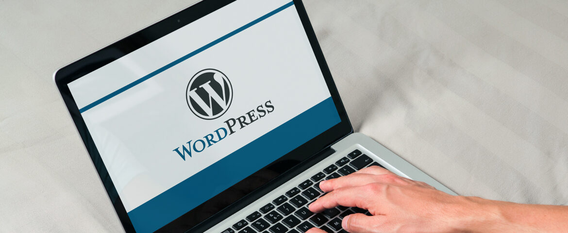 Wordpress seo